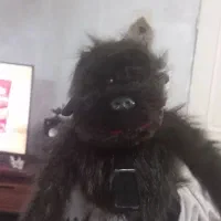 عروسک میمون دستی