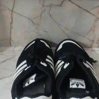 کتونی|کیف، کفش، کمربند|شیروان (خراسان), |دیوار