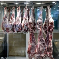 مغازه قصابی(گوشت مرغ ماهی)