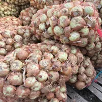 جهت پسا کردن پیاز