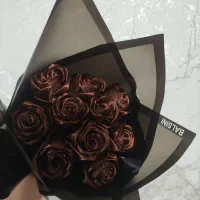 گل جاودان|گل و گیاه طبیعی|قم, امامزاده ابراهیم|دیوار