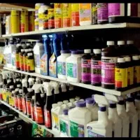 سم پاشی ساس/سمپاشی موریانه سوسک تضمینی عقرب شپش