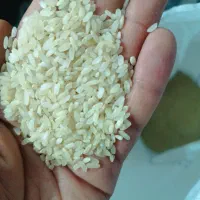 خورده و برنج کامفیروزی