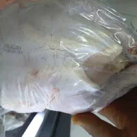 شینسل و ران