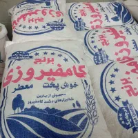 برنج کامفیروزی معطر به شرط پخت 330