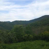 زمین ویو دار فرهاد 89