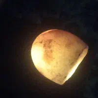 چند عدد شهاب سنگ|جواهرات|نهبندان, |دیوار