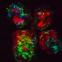 سنگ اوپالین گوهر شفق20رنگ زیبا|جواهرات|اهواز, فرهنگ شهر|دیوار