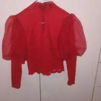 نیم تنه مجلسی
