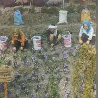 وسایل رستوران و کبابی