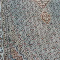 پادری یک عدد کناره ۱×۲متر ریز ماهی|پادری|کرج, فاز ۱ مهرشهر|دیوار