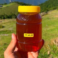 عسل طبیعی از تولید کننده|خوردنی و آشامیدنی|تهران, گیشا|دیوار