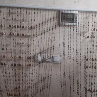 پرده مهره ای