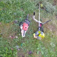 انواع کارهای باغبانی هرس درختان برش درخت