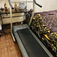 تردمیل و دستگاه ورزشی مسگری باهم