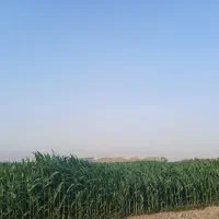 حراست وراننده لودر وکارگر ساده وجوشکار