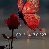 سیمکارت ۰۹۱۲ ، 09124170327