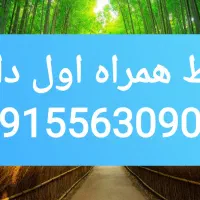 خط همراه اول دائم 09155630900