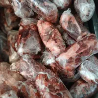 سر دست و گردن|خوردنی و آشامیدنی|شیراز, علی آباد|دیوار