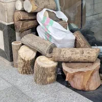 کنده چوب تنه چوب گردو