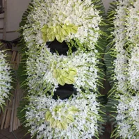 تاجگل خارجی بازار تاج گل ختم تسلیت یادبود ترحیم|گل و گیاه طبیعی|تهران, آهنگ|دیوار