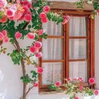 خونه ویلایی امامرضا