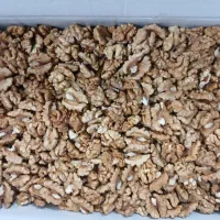 مغز گردو درجه یک