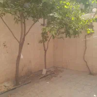 اجاره آپارتمان ۱۲۰ متری ۲ خوابه همکف شهرک صادقبعه|اجارهٔ آپارتمان|مشهد, پنجتن|دیوار