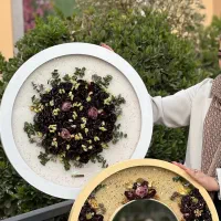 تابلو گل رزینی|تابلو، نقاشی، عکس|بندرعباس, |دیوار