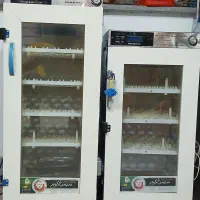 دستگاه جوجه کشی تمام اتوماتیک