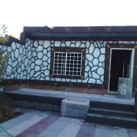 پلاستر طرح دار