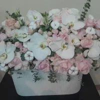 باکس گل طبیعی ارکیده و رز فوری|گل و گیاه طبیعی|تهران, تهرانپارس شرقی|دیوار
