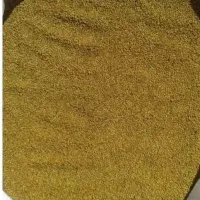 بذر یونجه