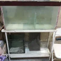 ۲۰ عدد بچه فلاورباکس دونه ای ۱۰ تومن