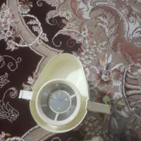 آبمیوه گیری پارس خزر