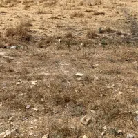 زمین کشاورزی در حومه قلعه تل