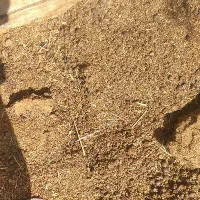 فروش کود گوسفند|گل و گیاه طبیعی|سیرجان, |دیوار