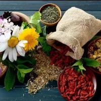 طب سنتی طب سوزنی حجامت فصد زالو تل گیری سم زدایی