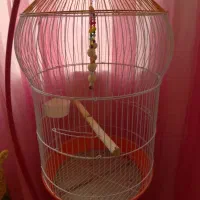 قفس پایه دار|لوازم جانبی حیوانات|کرمانشاه, |دیوار