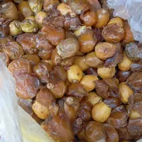 سلام 25کیلو خرما ترش