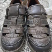 صندل طبی