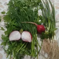 سفارش انواع سبزی جات