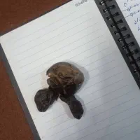 این چیه کی میدونه|کلکسیون اشیاء عتیقه|فولادشهر, A2|دیوار