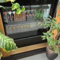 شو کیک ۹۰ سانتی برند وان شف