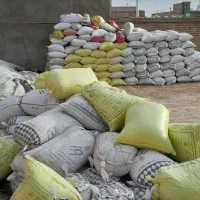 پهن فضولات کودپرنده کبوتری صحرایی