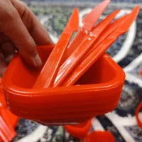 ظرف مسافرتی