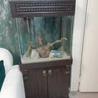 اکواریم باتمام امکانات فروش ومعاوظه