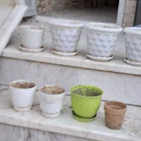 تعدادی گلدان پلاستیکی هرکدام ۳۵ تومن|گل و گیاه طبیعی|قم, آزادگان|دیوار