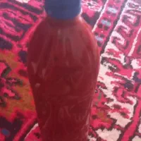 رب خانگی هیزمی