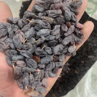 کشمش بوانات